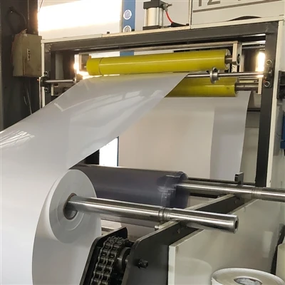 Customized plastic sheet extrusion thermoforming solutions