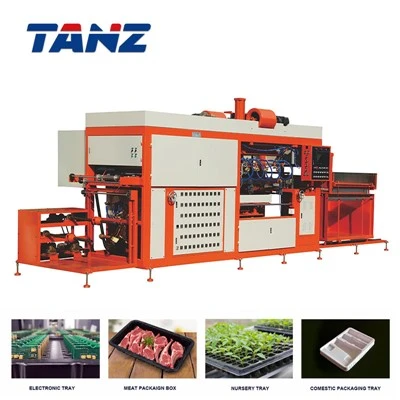 Taizhang High Speed Plastic Food Container Fruit Box Trays Thermoforming Machine